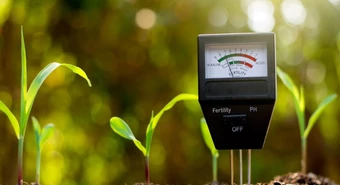 La agricultura regenerativa, clave en la solución ante el cambio climático