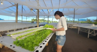 Cultivaba para comer sano en su casa de Funes y lo transformó en negocio