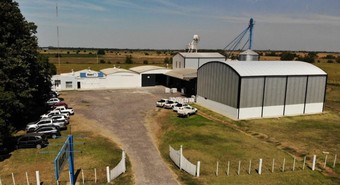 Superaron un año de precios descontrolados y ahora "engordan" su negocio