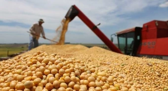 Otra empresa del agro entró en default y pidió concurso preventivo