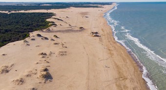 Ni Pinamar ni Cariló: cuál es la “playa del millón de pinos” en la costa