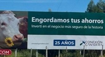 Quebraron tres fondos de inversión ganaderos y dejaron deudas por u$s500 M 
