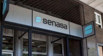 Qué implica la emergencia sanitaria que decretó el Senasa por virus equino