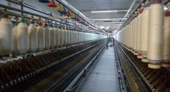 Cooperativa ensaya joint venture para reflotar producción