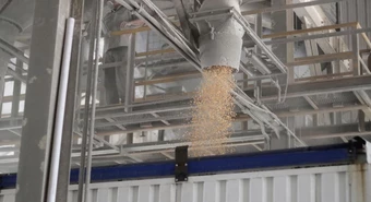 Rosarinos detrás de sistema que detecta si el grano está podrido en el silo