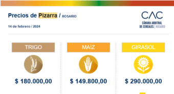 Comentario diario del Mercado Físico de Rosario + Precios de Pizarra