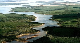 Qué tiene el cielo de Esteros del Iberá, que atrae a miles de extranjeros