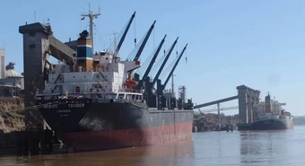 Argentina exportó harina de soja libre de deforestación a Europa 