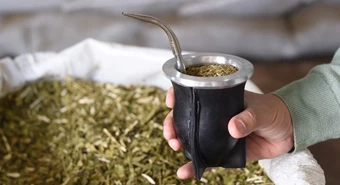La exportación de yerba batió récord: el inusual destino que lideró ventas