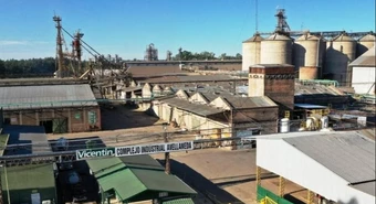 Acreedores granarios rechazan el acuerdo de Vicentin pero no impugnaron