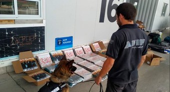 Quisieron contrabandear 500 vinilos de Vilma Palma valuados en $5 M