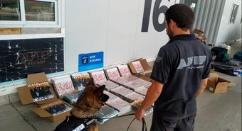 Quisieron contrabandear 500 vinilos de Vilma Palma valuados en $5 M