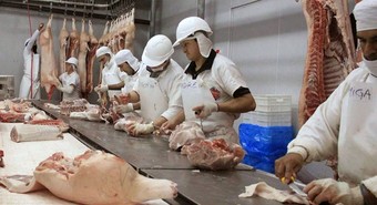 Récord de faena porcina en el primer semestre del año