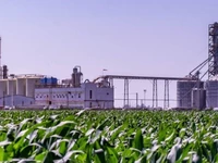 El Gobierno autorizó el tercer aumento de bioetanol del año