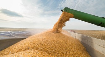 La liquidación de divisas del campo aumentó un 36% enero