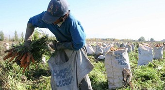 Cerraron paritaria: cómo quedó el básico del peón rural