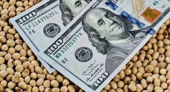Productores denunciaron a los agroexportadores que ensayaron defensa