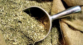 Cayó fuerte la participación de los productores en el precio de la yerba