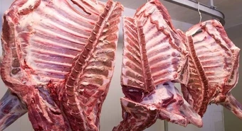 carne con hueso 