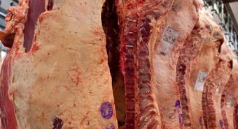 Exportaciones de carne: pese a la caída inicial, “todavía hay oportunidades"