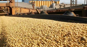 El segundo nodo exportador más importante del mundo es el del Gran Rosario
