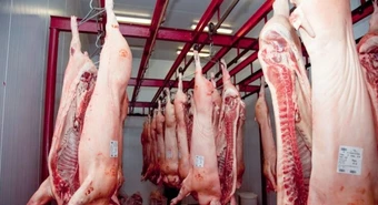 Argentina podrá exportar carne y menudencias porcinas a Paraguay