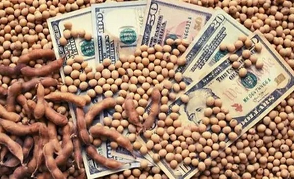 El conflicto en Medio Oriente impacta fuerte sobre el mercado de granos ...