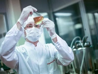 Biotecnológica amplía 50% su superficie para apuntalar exportaciones