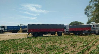 camiones de granos