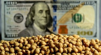 Las razones por las que el campo rechaza el nuevo dólar soja