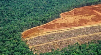 Cofco se une a ucrop.it para la verificación del paisaje en Argentina