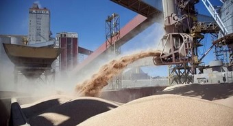 Las empresas que lideraron el ránking agroexportador de 2023
