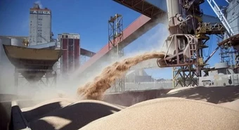 Las empresas que lideraron el ránking agroexportador de 2023