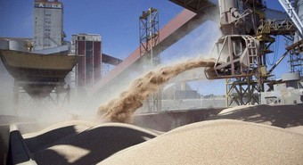 Balance 2024: la agroindustria exportó un 26% más que hace un año