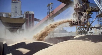 Balance 2024: la agroindustria exportó un 26% más que hace un año