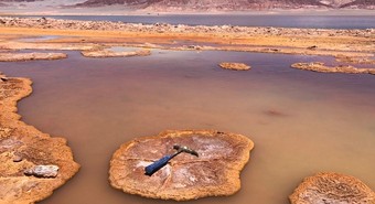 Empresa argentina de biológicos se expande de la mano de una gigante global
