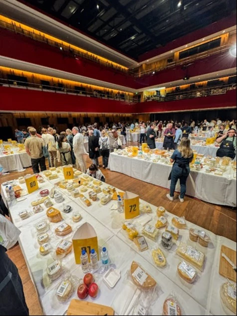 Quesos argentinos brillan en mundial y suben al podio