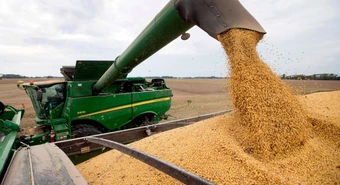 Cuánta soja resta por comercializar a cinco meses del cierre de la campaña