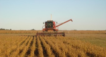 Desde el campo aseguran que hay margen para accionar contra las retenciones