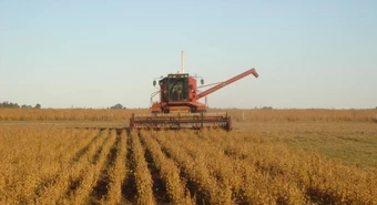 Desde el campo aseguran que hay margen para accionar contra las retenciones