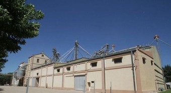 La industria molinera salió a desmarcarse de la suba del pan