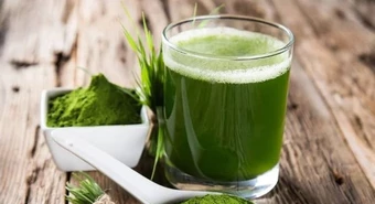 té matcha