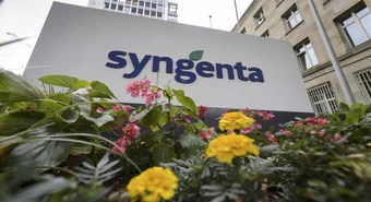 La reacción de Syngenta a la investigación por contrabando que abrió la Aduana
