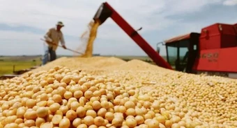 El precio de la soja se disparó en la bolsa de Chicago