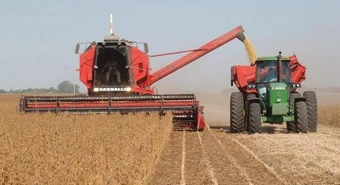 Prevén que el frío y la falta de lluvias acelerarán la cosecha de soja 