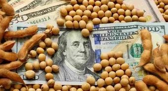 Cuántas divisas aportó la agroindustria en los últimos cinco años 