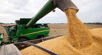 Mejores rindes de lo previsto empujan la cosecha se soja para arriba