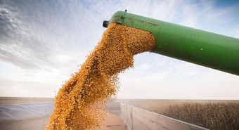Prevén que Argentina tendrá la segunda cosecha más alta de su historia