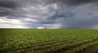 Las fuertes lluvias en la región núcleo complican la cosecha de soja