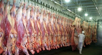 Exportaciones de carne repuntaron en abril, pero siguen por debajo de 2024